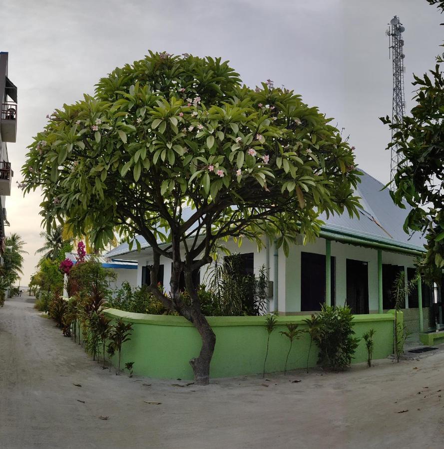 فندق La Isla Tropica غوريدهو المظهر الخارجي الصورة