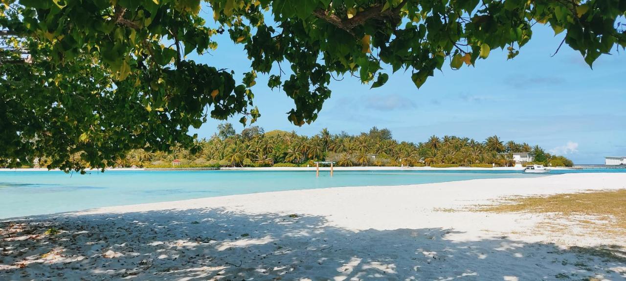 فندق La Isla Tropica غوريدهو المظهر الخارجي الصورة
