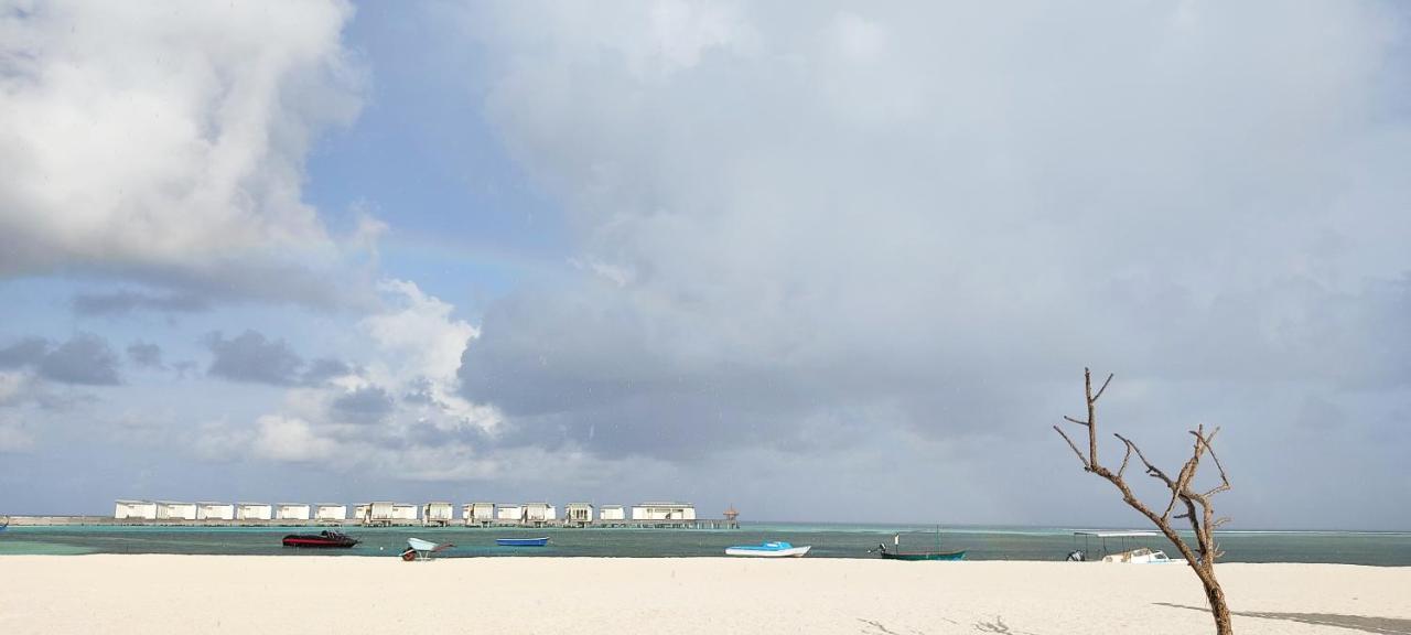 فندق La Isla Tropica غوريدهو المظهر الخارجي الصورة