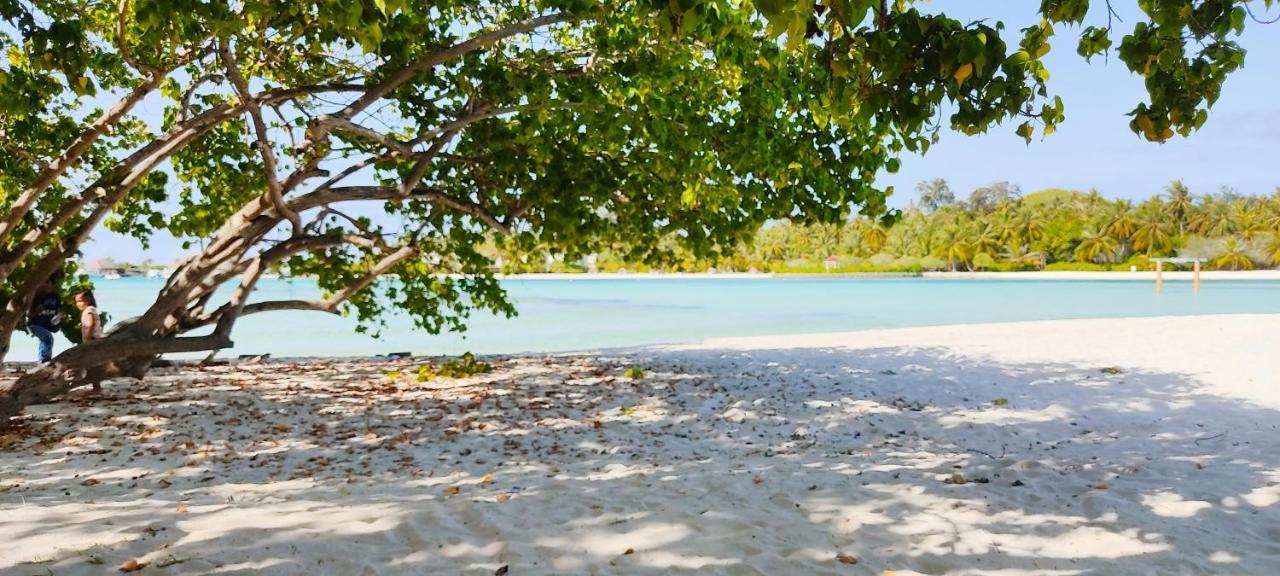 فندق La Isla Tropica غوريدهو المظهر الخارجي الصورة