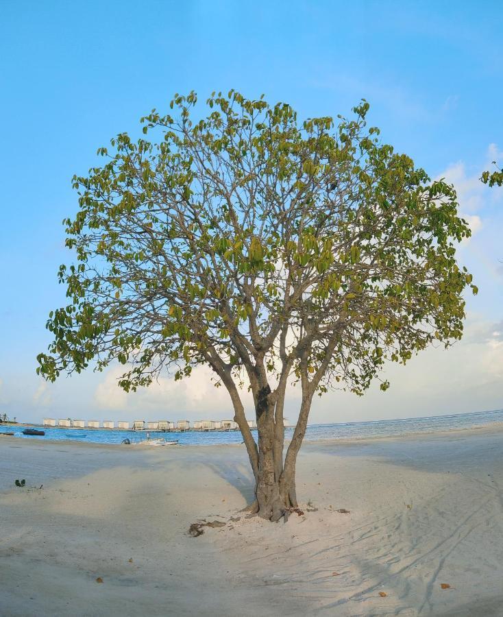 فندق La Isla Tropica غوريدهو المظهر الخارجي الصورة