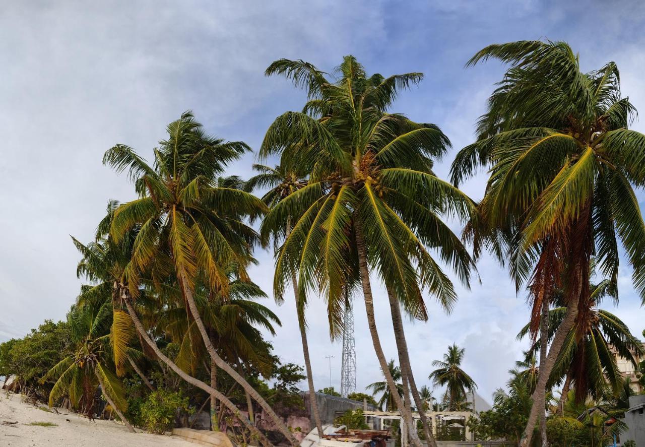 فندق La Isla Tropica غوريدهو المظهر الخارجي الصورة