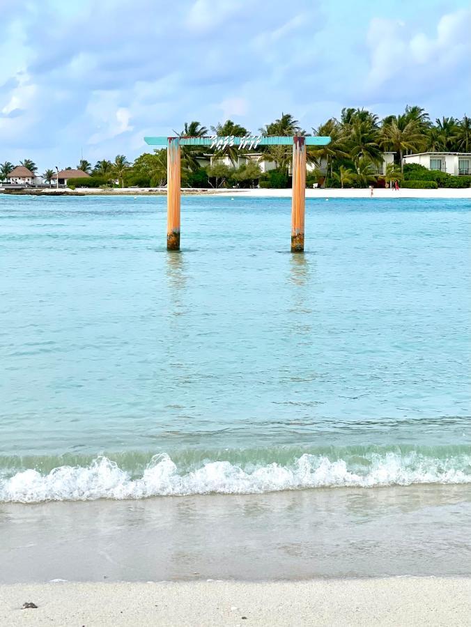 فندق La Isla Tropica غوريدهو المظهر الخارجي الصورة
