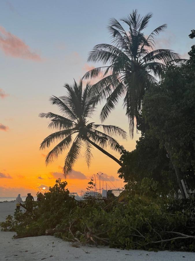 فندق La Isla Tropica غوريدهو المظهر الخارجي الصورة
