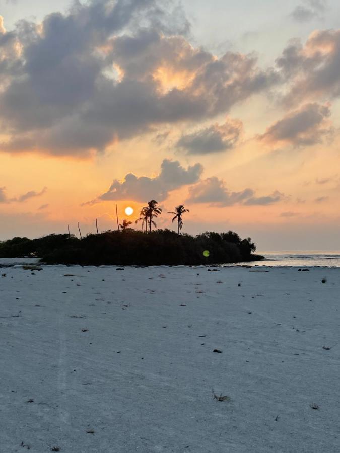 فندق La Isla Tropica غوريدهو المظهر الخارجي الصورة