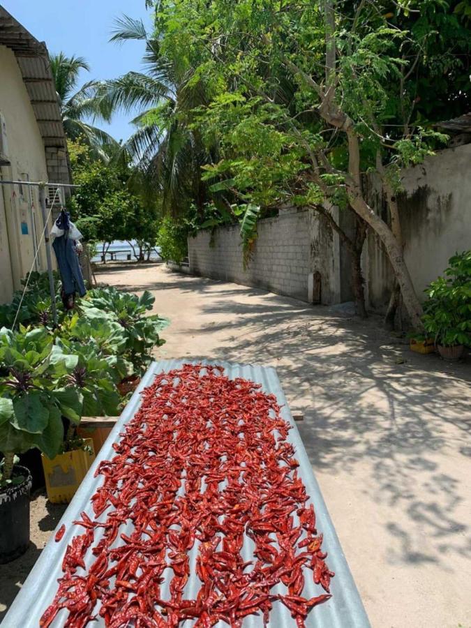 فندق La Isla Tropica غوريدهو المظهر الخارجي الصورة