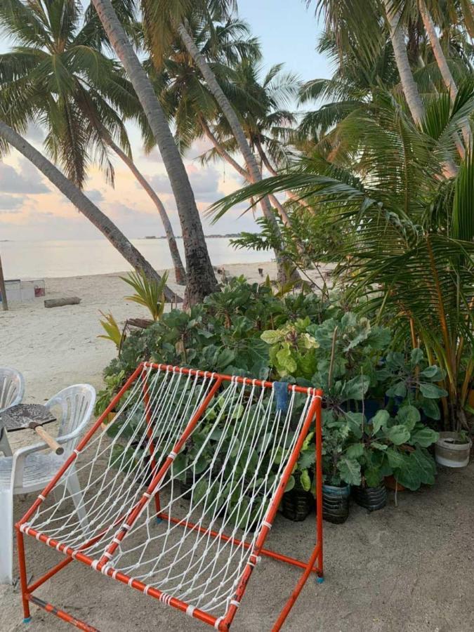 فندق La Isla Tropica غوريدهو المظهر الخارجي الصورة