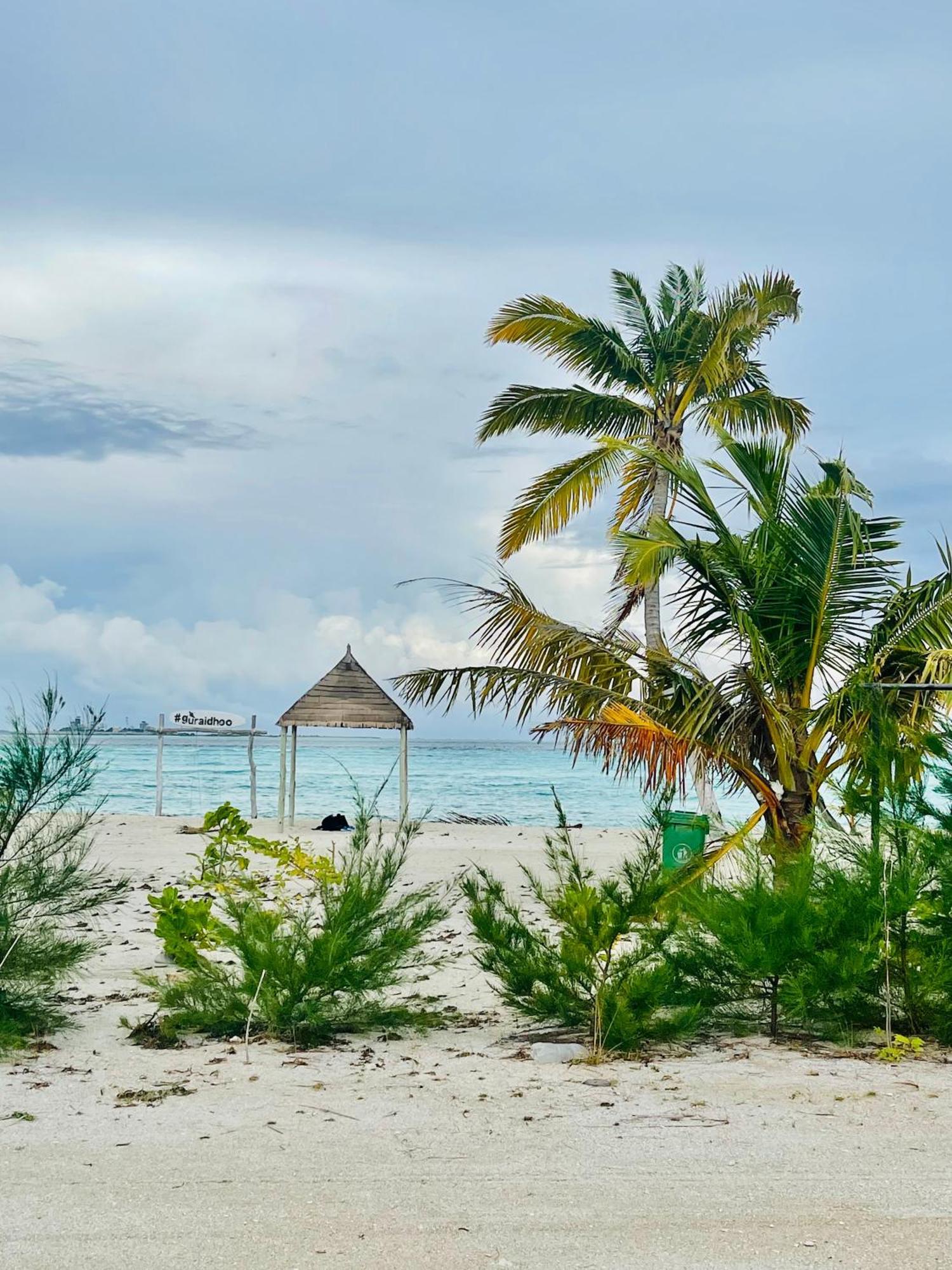 فندق La Isla Tropica غوريدهو المظهر الخارجي الصورة