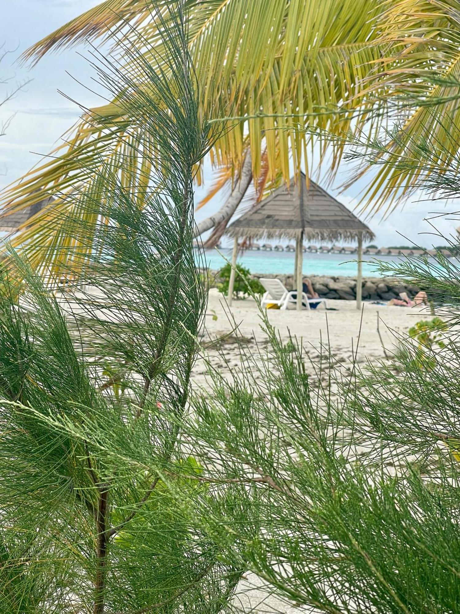 فندق La Isla Tropica غوريدهو المظهر الخارجي الصورة