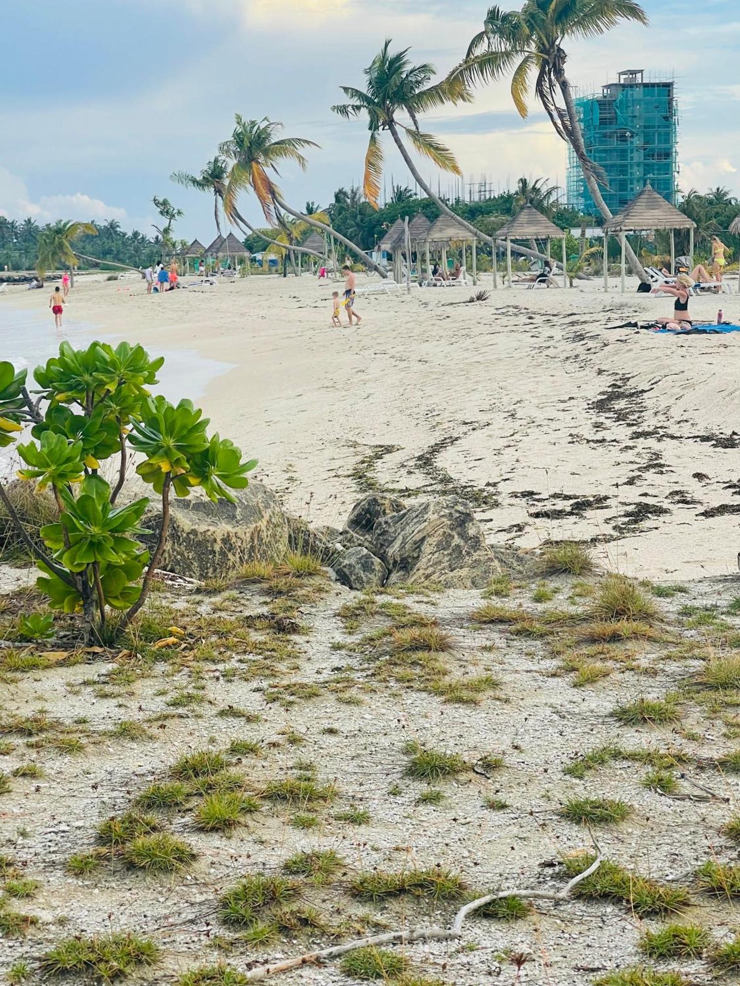 فندق La Isla Tropica غوريدهو المظهر الخارجي الصورة
