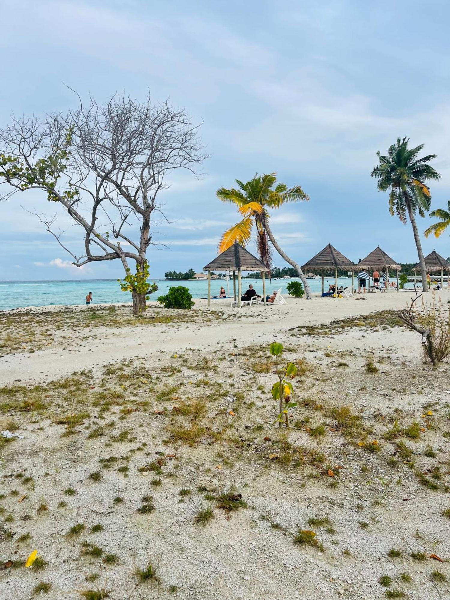 فندق La Isla Tropica غوريدهو المظهر الخارجي الصورة